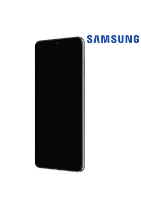 Schermo LCD + Touch Screen Samsung Galaxy S20 Plus 100% originale – grigio