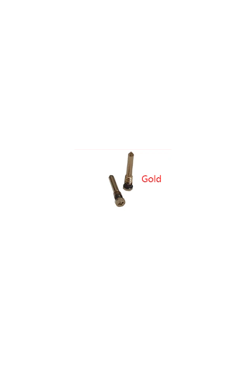 iPhone X-16Pmax Oro Screws Tail (2PCS)