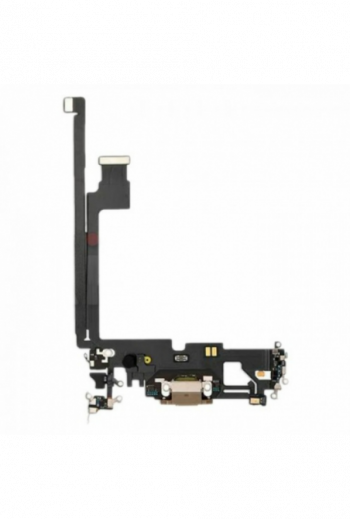 Flex ricarica oro — iPhone 12 Pro Max