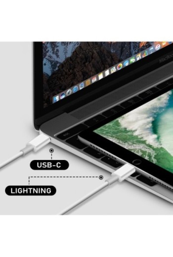 Caricabatterie da Muro USB-C 20W + Cavo da 1m Originale Apple