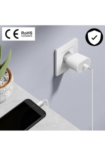 Caricabatterie da Muro USB-C 20W + Cavo da 1m Originale Apple