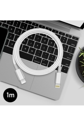 Caricabatterie da Muro USB-C 20W + Cavo da 1m Originale Apple