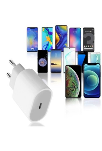 Caricabatterie da Muro USB-C 20W + Cavo da 1m Originale Apple