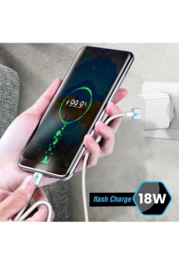 Caricabatterie originale Vivo + cavo USB-C ricarica rapida 18W - Bianco