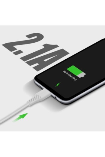 Caricabatterie da parete doppio USB 2.1A con cavo Smart IC USB-C Swissten - Bianco