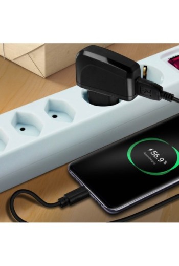Caricabatterie 2A/5V + Cavo USB Type C Bluestar - Nero per Smartphone e Tablet