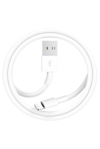 Caricabatterie + Cavo USB connettore Lightning