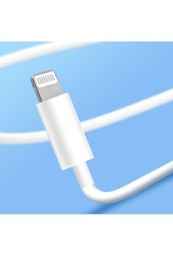 Pack 2-in-1: Caricatore USB-C da 20W + Auricolari Cablati Lightning Kit Mani Libere - Bianco